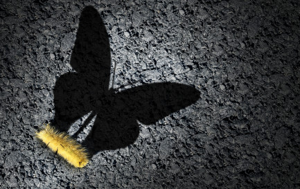 Image d&#039;illustration / ©iStock